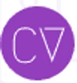 CodeVector Labs