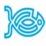 Codify logo