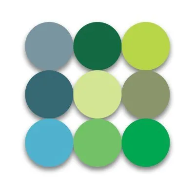 Coding Services Group logo