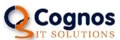 Cognos IT Solutions