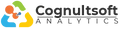 Cognultsoft Analytics