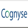 Cognyse