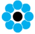 Coim Group