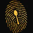 Cold Case Ice Cream logo