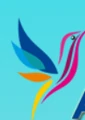 Colibri Aviation logo