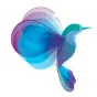 Colibri Digital logo