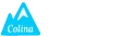 Colina Tech Solutions