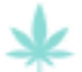 COLLECTIVE SKIN logo