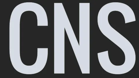 Commercial Network Services logo