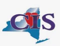 CI Services NY logo