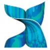 Conax logo