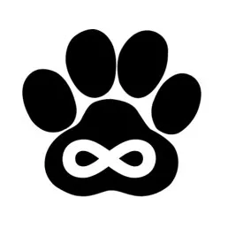 Connect Wolf logo