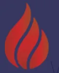 Control Fire Systems logo
