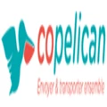 Copelican logo