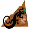 Copper Mountain Technologies
