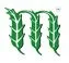 Corn Club