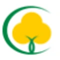 Cottonking logo