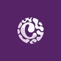 Countersoft logo