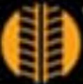 Coventry Tyres logo