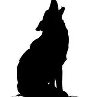 Coyote Ridge Ventures logo