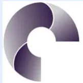 Craig Technologies logo