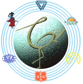 Crane Group