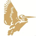 Cranes Varsity