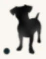 Crapule logo