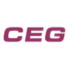 Critical Engineering Group logo