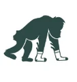 Critically Endangered Socks logo
