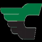 Critical Transport Solutions logo