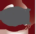 CSI Group logo