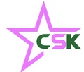 CSK LUDO