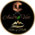 CT AUSVIET logo