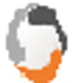 CTI PERU logo