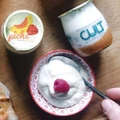 Cult Probiotics logo