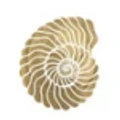Curl-Pattern logo