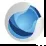 Capital Ventures logo