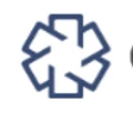Cyber Triage logo
