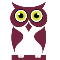 Cyber Owl logo