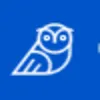 CYBRI logo