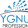 Cygnus Professionals