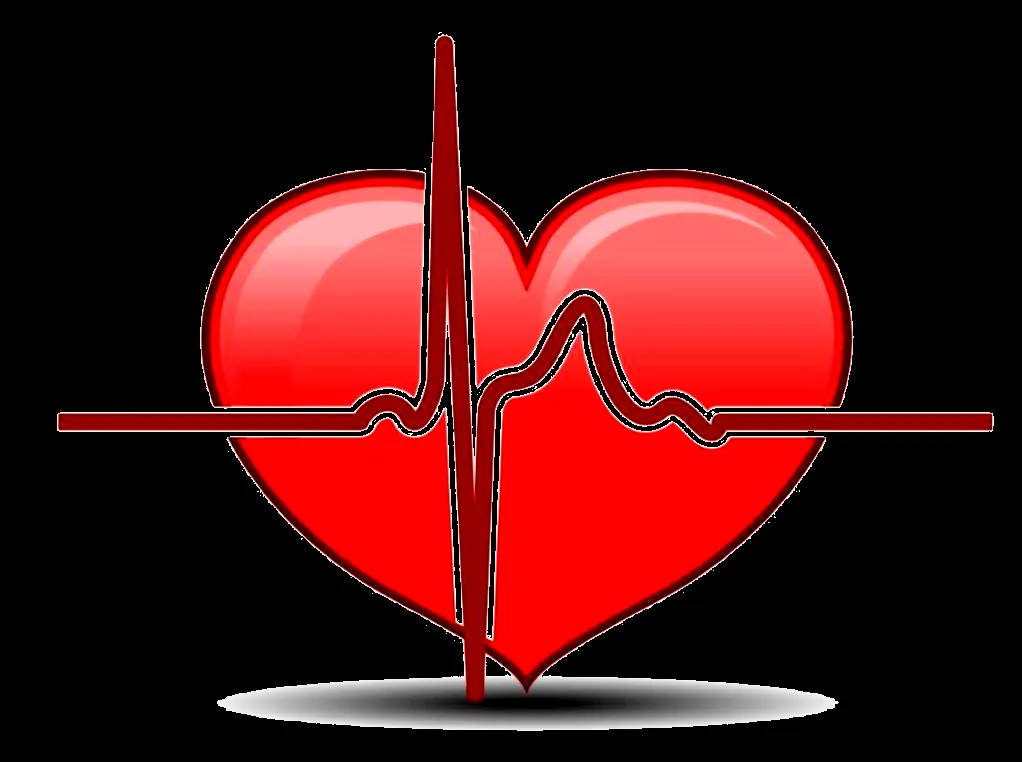 Dallas Internal Medicine Specialists logo