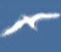 dalmaSoft logo