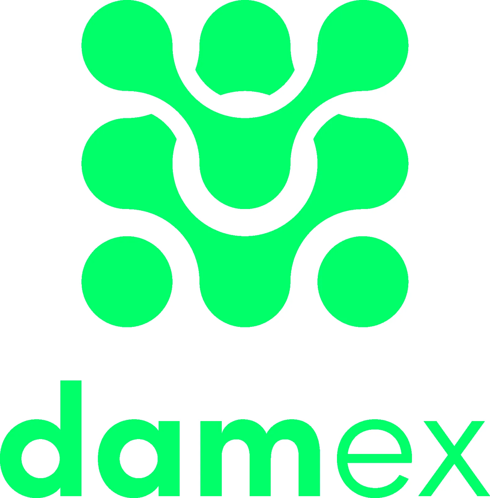 Damex logo