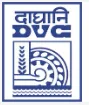 Damodar Valley Corporation