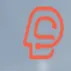 Dana Solutions logo