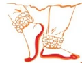 DanceKatha