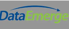 DataEmerge logo