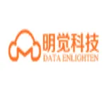 Data Enlighten logo